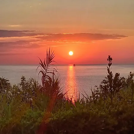 Azzurra *
